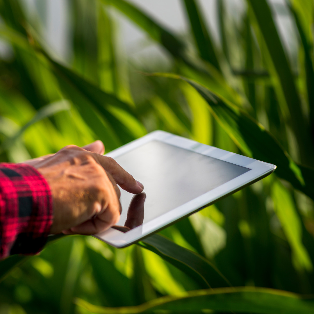 Sem nome (10 x 5 cm) (5).jpg