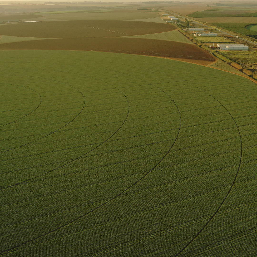 Sem nome (10 x 5 cm) (2).jpg