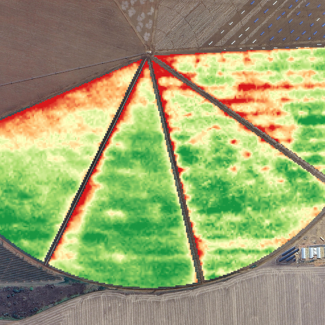 Sem nome (10 x 5 cm) (3).jpg